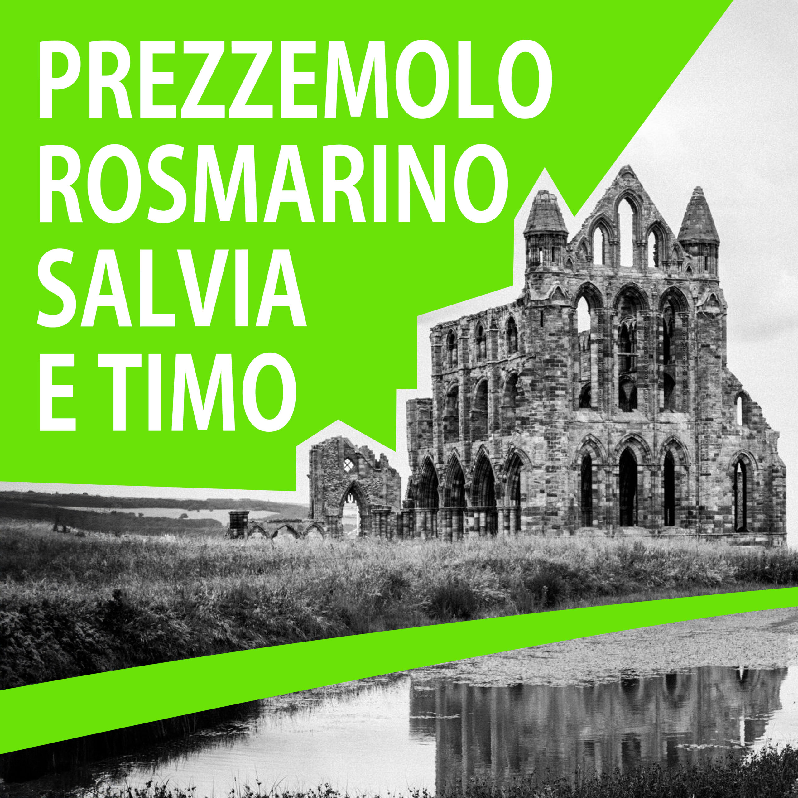 Prezzemolo, rosmarino, salvia e timo